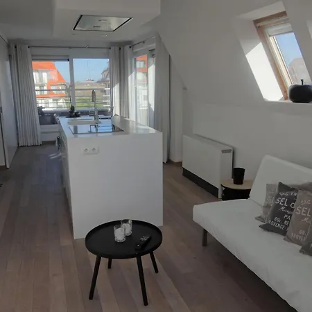 Neoportus Iii With Roof Terrace Apartment Nieuwpoort