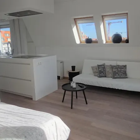 Apartment Neoportus Iii With Roof Terrace Nieuwpoort